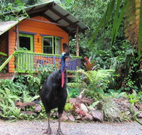 Rainforest Hideaway - Accommodation Batemans Bay