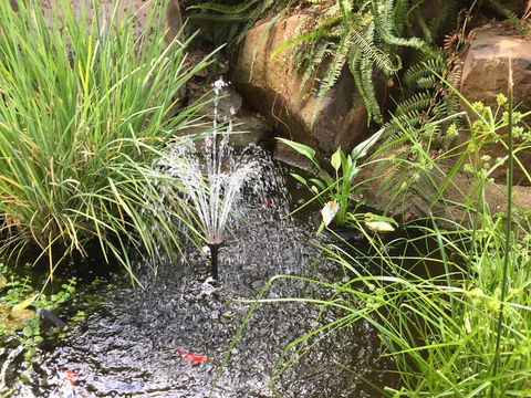 Rocky Rest - Accommodation Batemans Bay 3