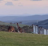 Rooks Edge - Accommodation Batemans Bay