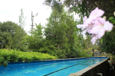 Rosebank Homestead And Farmstay - Accommodation Batemans Bay 3