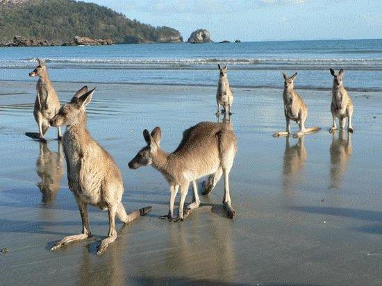 Epsom QLD Accommodation Batemans Bay