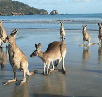 Seaforth Holiday Units - Accommodation Batemans Bay