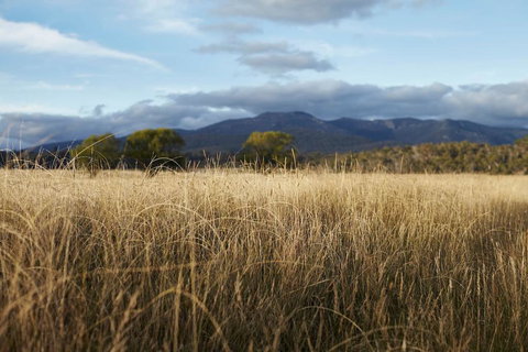 Second Flat Retreat - Accommodation Batemans Bay 2