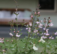 Serendipity on Allyn - Accommodation Batemans Bay