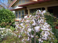 Book Katoomba Accommodation Vacations Accommodation Batemans Bay Accommodation Batemans Bay