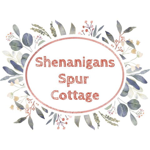 Shenanigans Spur Cottage - Accommodation Batemans Bay 3