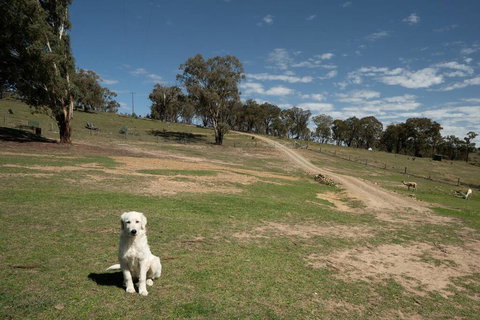 Sithuri Tiny House - Accommodation Batemans Bay 3