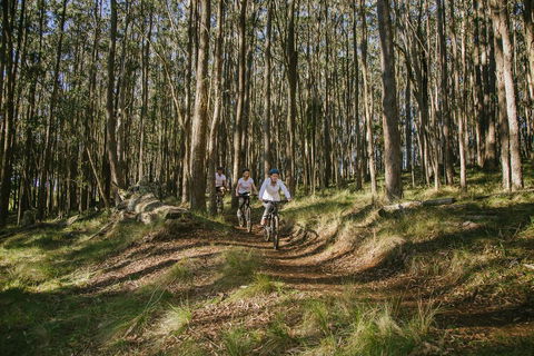 Spicers Peak Lodge - Accommodation Batemans Bay 3