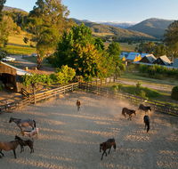 Spring Spur - Accommodation Batemans Bay