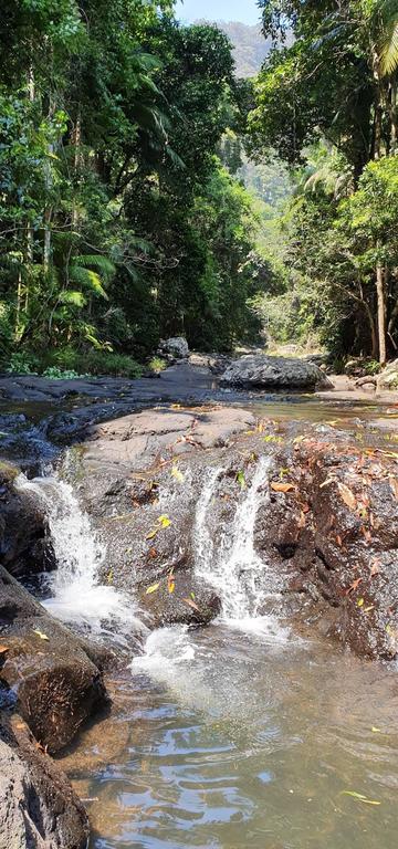 Springbrook25 Upper Apartment - Accommodation Batemans Bay 3