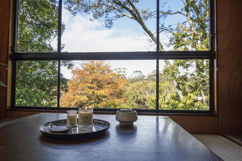 Springbrook25 Upper Apartment - Accommodation Batemans Bay 0