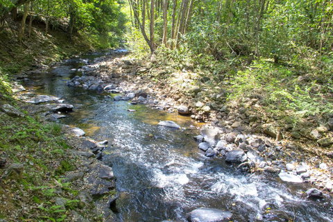 Tallaringa Views - Accommodation Batemans Bay 0