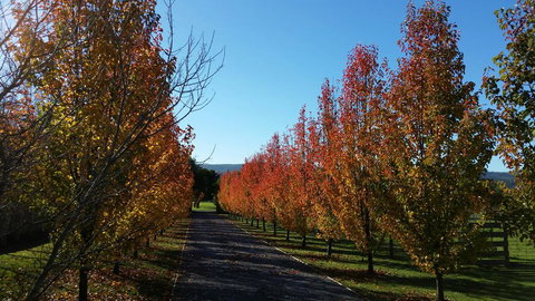 Tamar Valley Farm Stay - Accommodation Batemans Bay 3