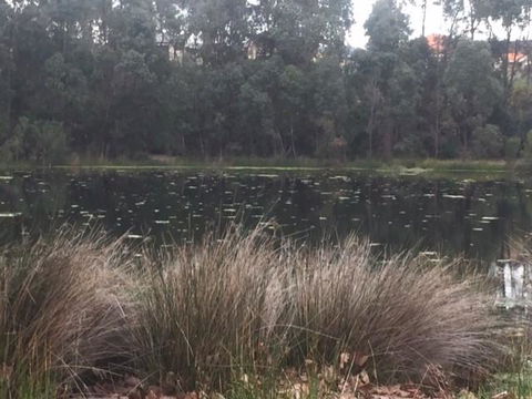 Telperon (2 Rooms, 3-4 Guests) - Accommodation Batemans Bay 2