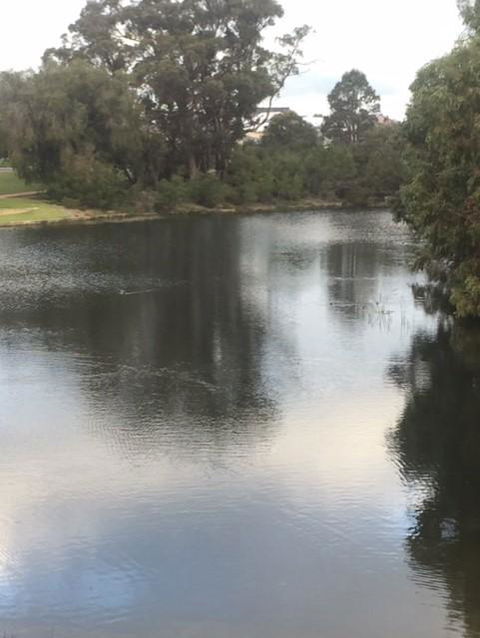Telperon (2 Rooms, 3-4 Guests) - Accommodation Batemans Bay 3