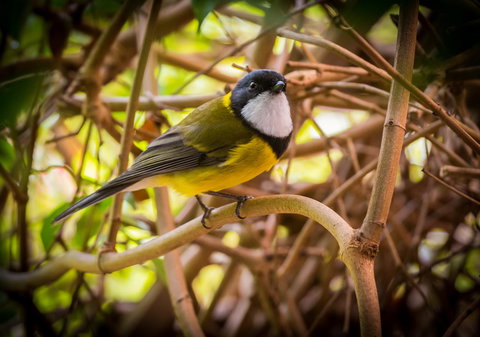 Parnella Kettering - Accommodation Batemans Bay 10