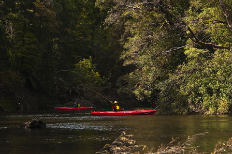 Corinna Wilderness Village - Accommodation Batemans Bay 38