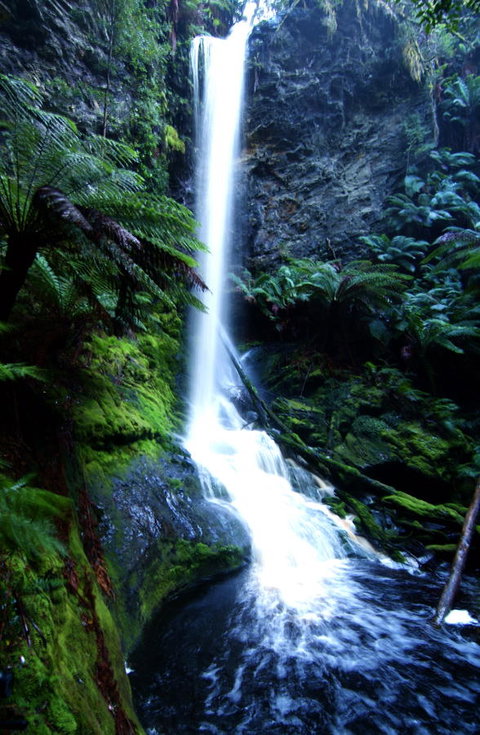 Corinna Wilderness Village - Accommodation Batemans Bay 40