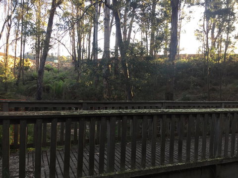 Harlea - Accommodation Batemans Bay 13