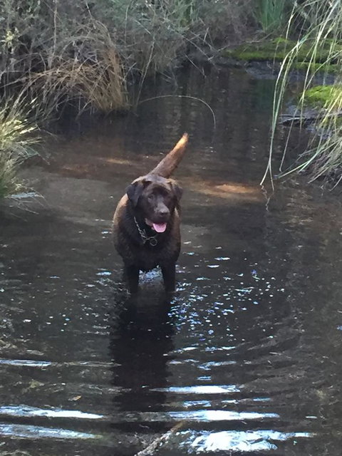 Harlea - Accommodation Batemans Bay 27