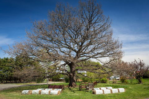 Ratho Farm - Accommodation Batemans Bay 8