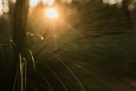 Bay Of Fires Bush Retreat - Accommodation Batemans Bay 26