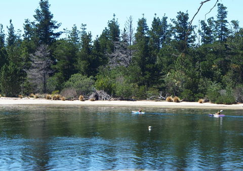 Orford Blue Waters Hotel - Accommodation Batemans Bay 42