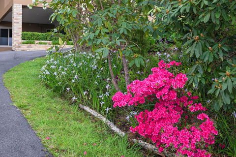 Maria Views Bed & Breakfast - Accommodation Batemans Bay 2