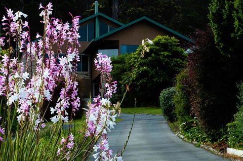Maria Views Bed & Breakfast - Accommodation Batemans Bay 6