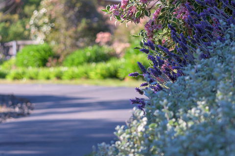 Maria Views Bed & Breakfast - Accommodation Batemans Bay 3