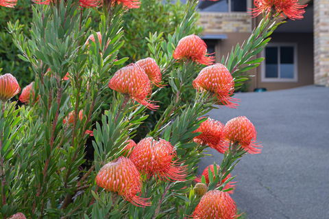 Maria Views Bed & Breakfast - Accommodation Batemans Bay 1