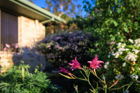 Maria Views Bed & Breakfast - Accommodation Batemans Bay 4