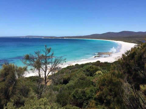 Holland House Bay Of Fires - Accommodation Batemans Bay 15