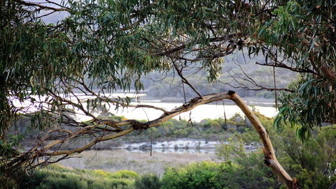 KINGFISHER COTTAGE Beachfront At The Binalong Bay - Accommodation Batemans Bay 17
