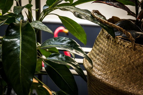 Alabama Hotel Hobart - Accommodation Batemans Bay 25