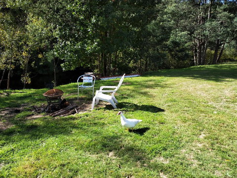 Wanderlust Cottage - Accommodation Batemans Bay 18