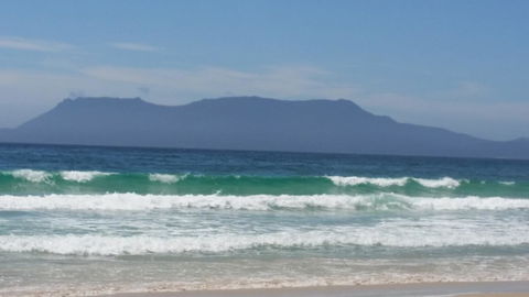 Beezneez B&B - Accommodation Batemans Bay 17