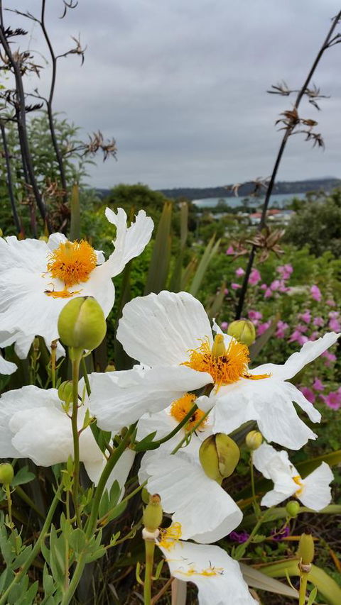 Beezneez B&B - Accommodation Batemans Bay 13