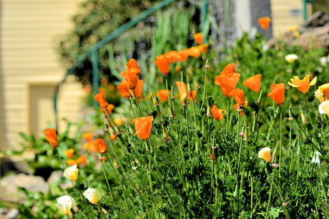 St. Pauls Bed & Breakfast - Accommodation Batemans Bay 44