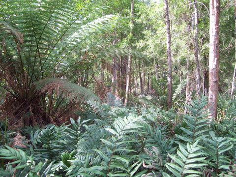 St. Pauls Bed & Breakfast - Accommodation Batemans Bay 15