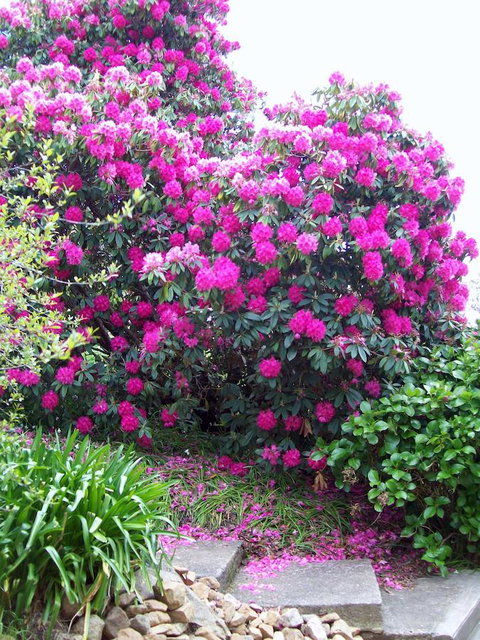 St. Pauls Bed & Breakfast - Accommodation Batemans Bay 2