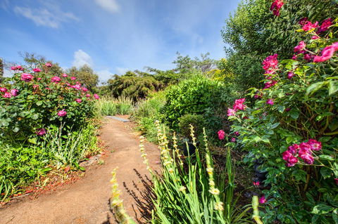 Wagners Cottages - Accommodation Batemans Bay 30