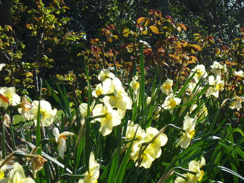 Wagners Cottages - Accommodation Batemans Bay 13