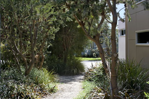 BIG4 Ingenia Holidays Queenscliff Beacon - Accommodation Batemans Bay 13
