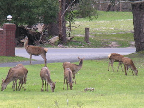 The Grampians Motel - Accommodation Batemans Bay 23