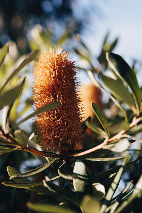 Dunkeld Studio Accommodation - Accommodation Batemans Bay 19