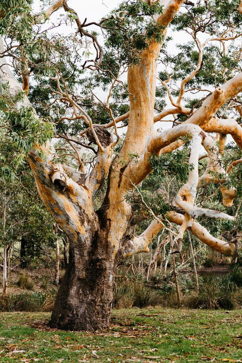 Dunkeld Studio Accommodation - Accommodation Batemans Bay 22