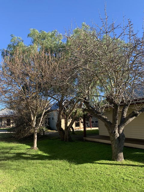 Dunkeld Studio Accommodation - Accommodation Batemans Bay 4