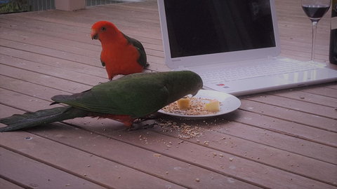 Wilsons Promontory Motel - Accommodation Batemans Bay 12