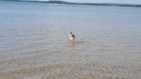 Wilsons Promontory Motel - Accommodation Batemans Bay 35